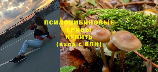дживик Абаза